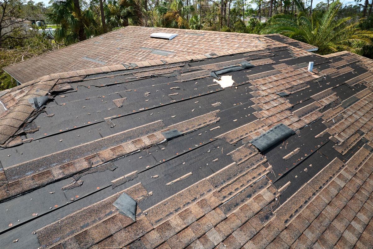 roof insurance claim brown shingles falling from roof after storm disaster